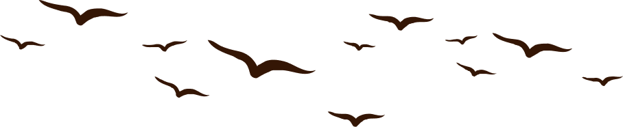 Layer5